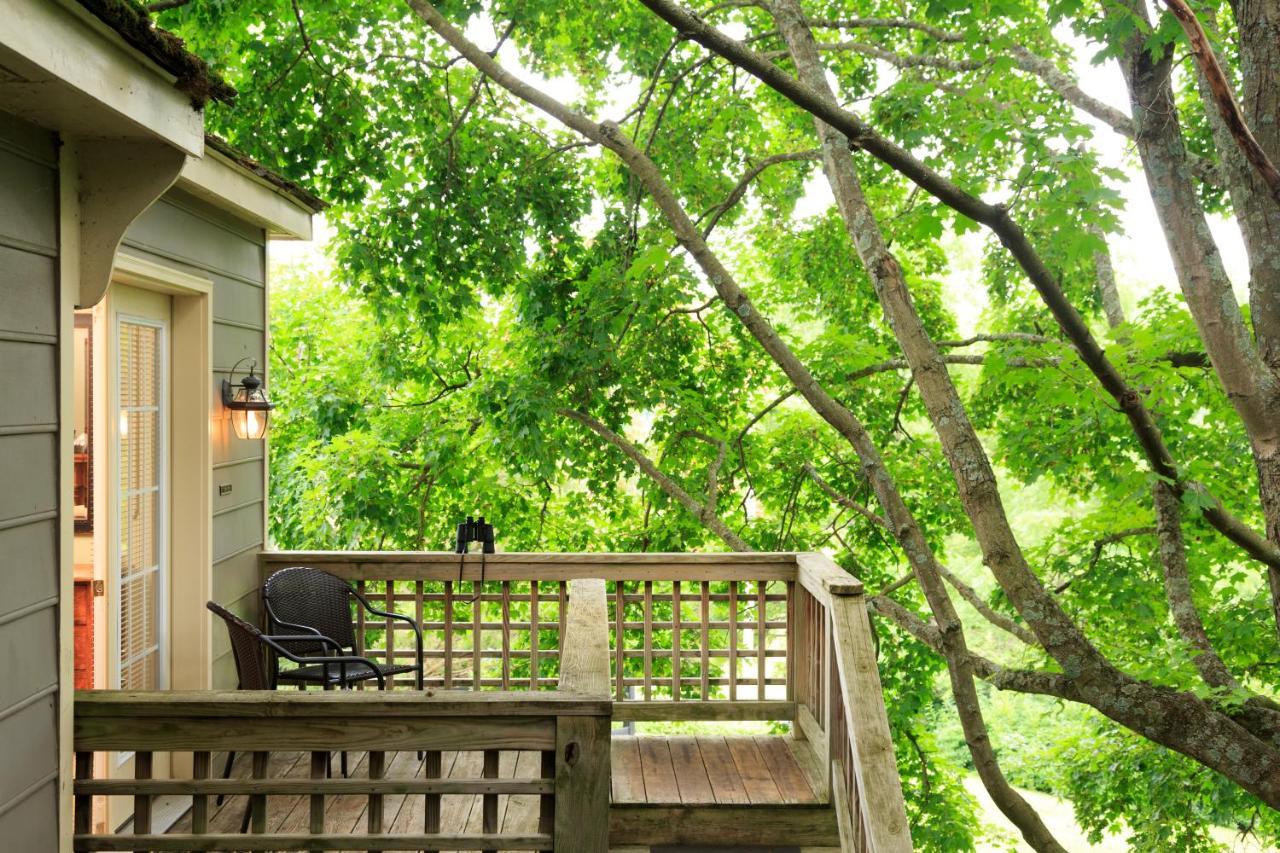 Inn And Cabins At Vaucluse Spring Stephens City Luaran gambar